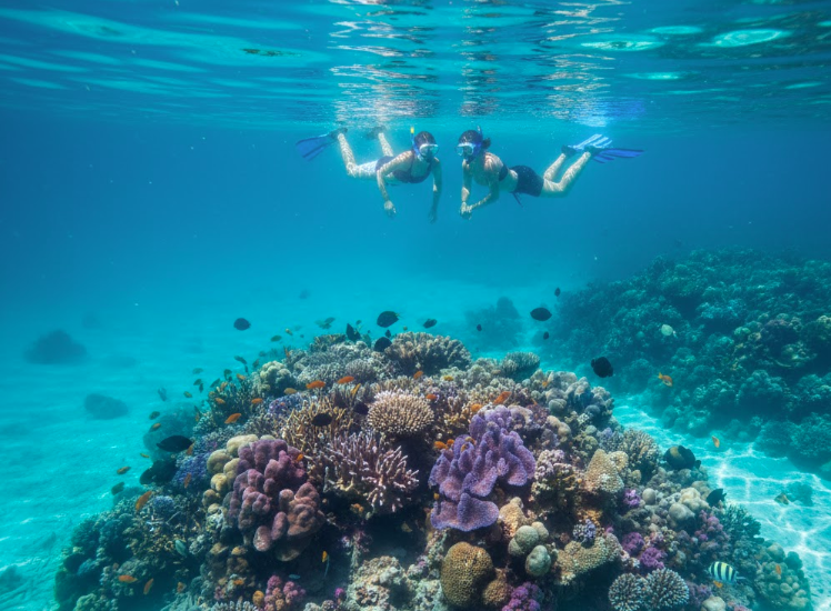 Planning a Trip to Bali: The Ultimate 2025–2026 Guide for an Unforgettable Holiday Snorkelling at Blue Lagoon Bali with coral reef